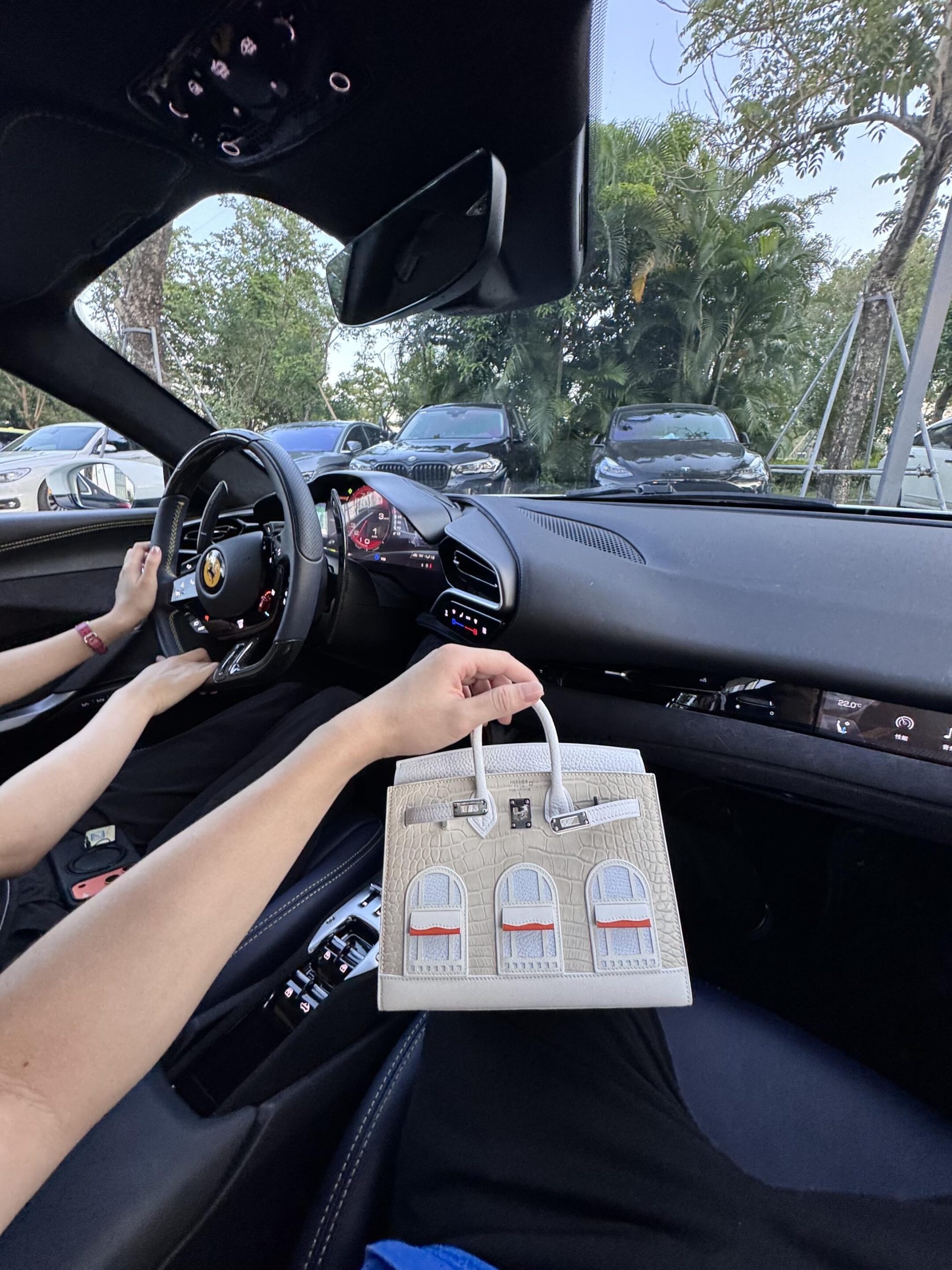 White Birkin Faubourg house bag held inside a Ferrari, highlighting a high-end luxury lifestyle.