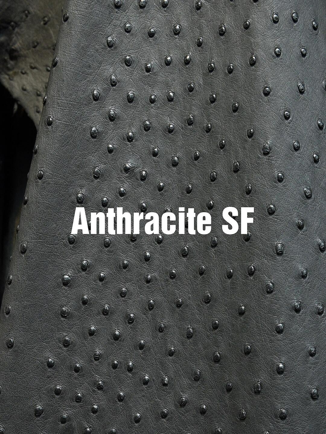 Classic Anthracite dark grey Hermes ostrich leather, displaying the sophisticated look of a professional Hermes ostrich bag.