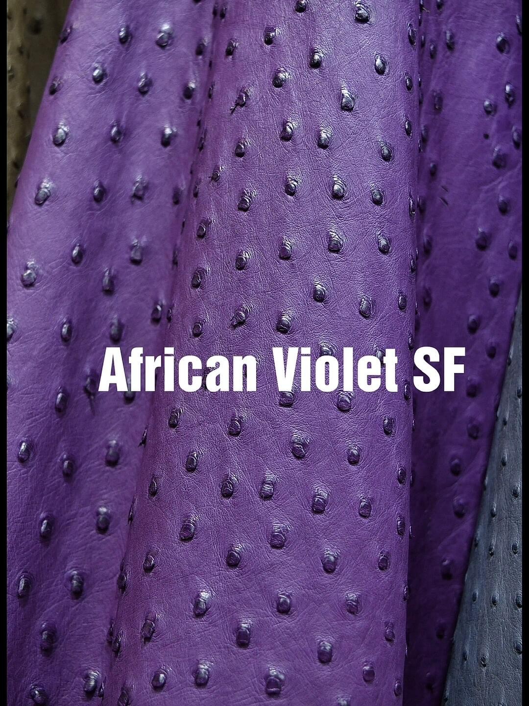 Deep African Violet purple Hermes ostrich leather, showcasing the rich pigment and quill texture of Hermes ostrich.