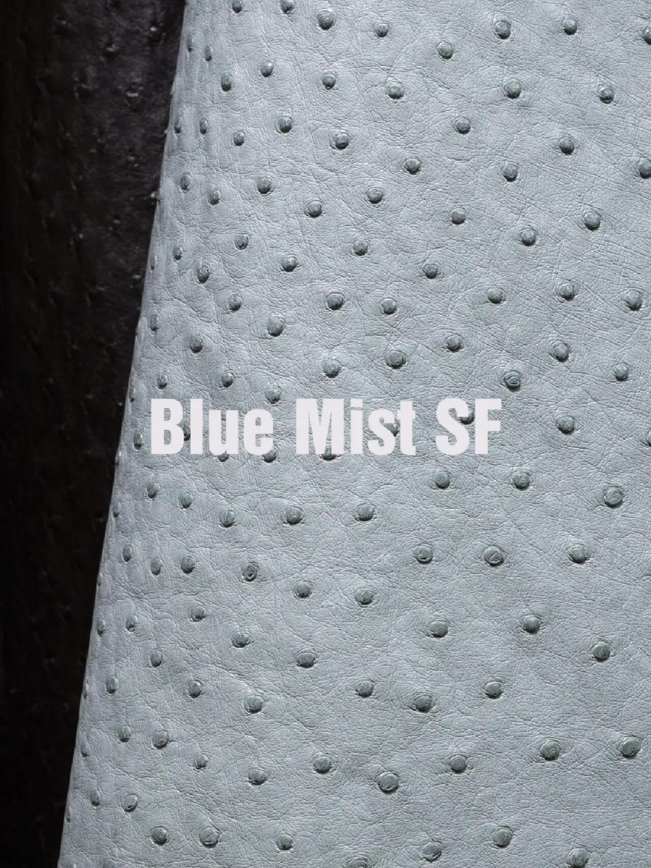 Close-up of Blue Mist Hermes ostrich leather, a sophisticated pale grey-blue skin for high-end Hermes ostrich bags.