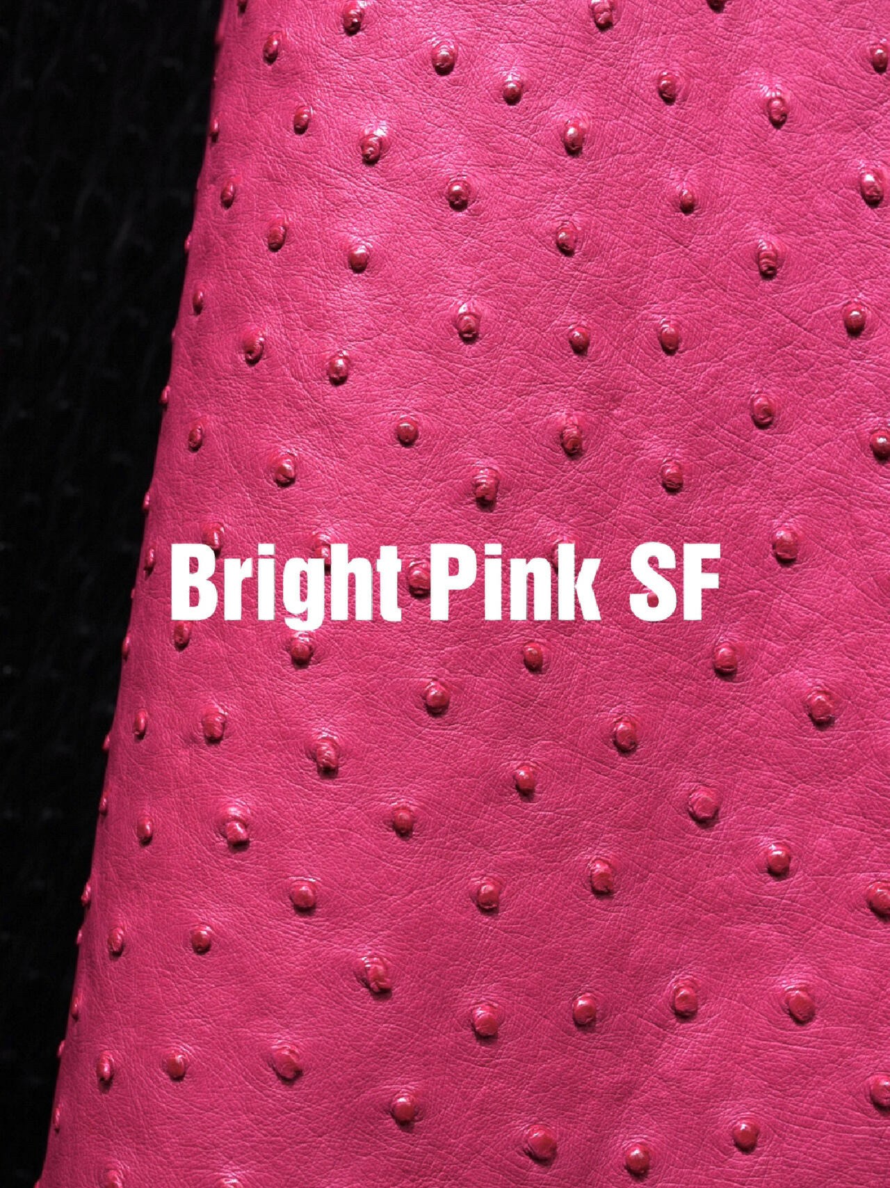 Bold Bright Pink Hermes ostrich leather swatch, showing the intense color and premium quill density of Hermes ostrich.