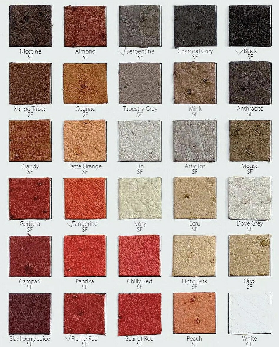 A collection of Hermes Ostrich leather swatches featuring classic neutral and warm red tones including Black, Tangerine, and Gold, used for Hermes ostrich bags.