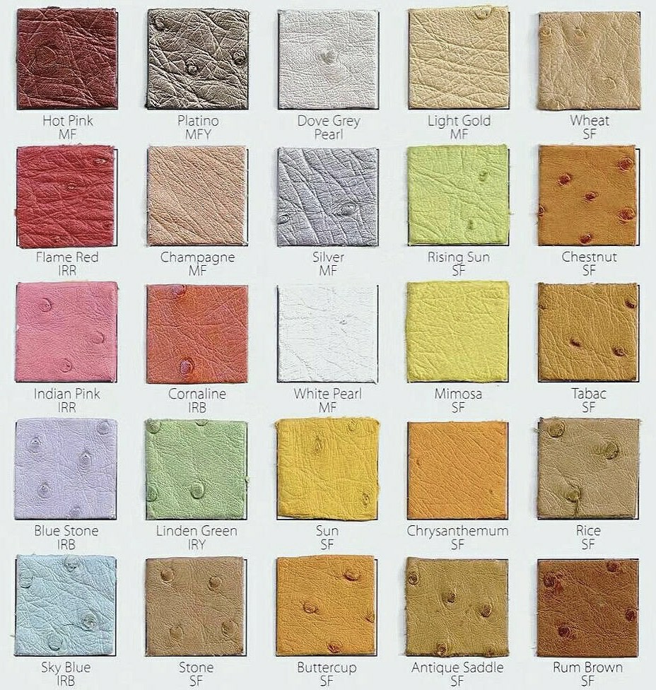 Hermes ostrich leather color chart showcasing pastel pinks, metallic finishes like Silver and Platino, and bright yellows like Mimosa for luxury Hermes ostrich bags.