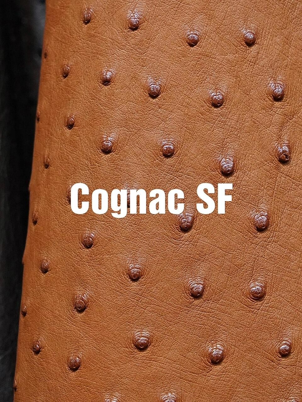 Timeless Cognac brown Hermes ostrich leather texture, showing the warm earthy tones of an authentic Hermes ostrich.