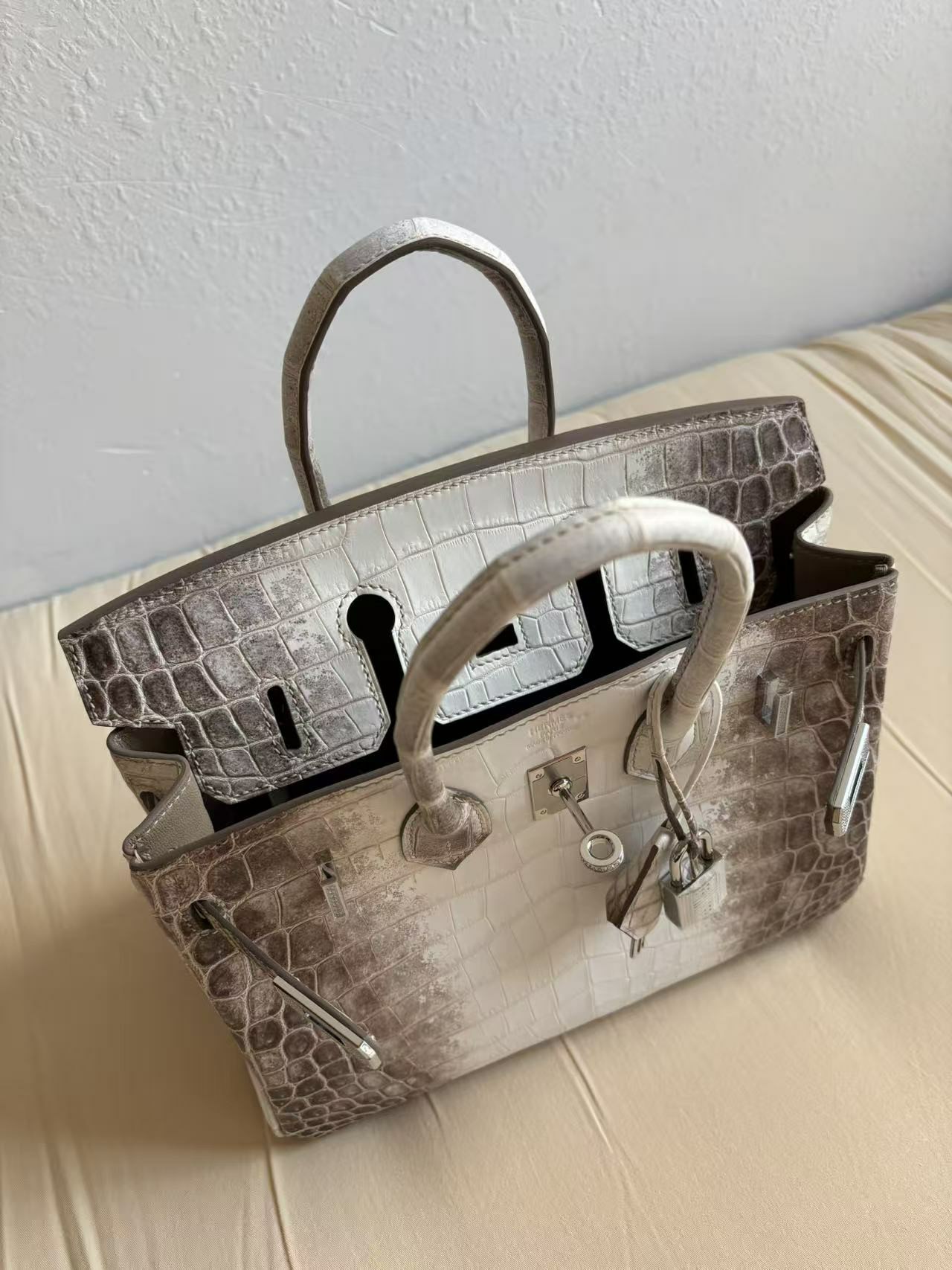 Open-top view of a Himalayan Birkin 25, showcasing the clean, symmetrical crocodile scale alignment