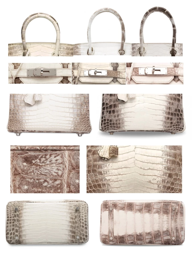 A side-by-side comparison of different Himalaya Birkin crocodile leather gradients
