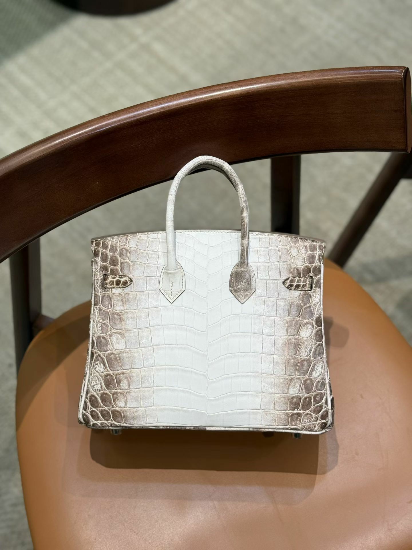 Rear view of a Himalayan Diamond Birkin 25, demonstrating the perfect structural symmetry