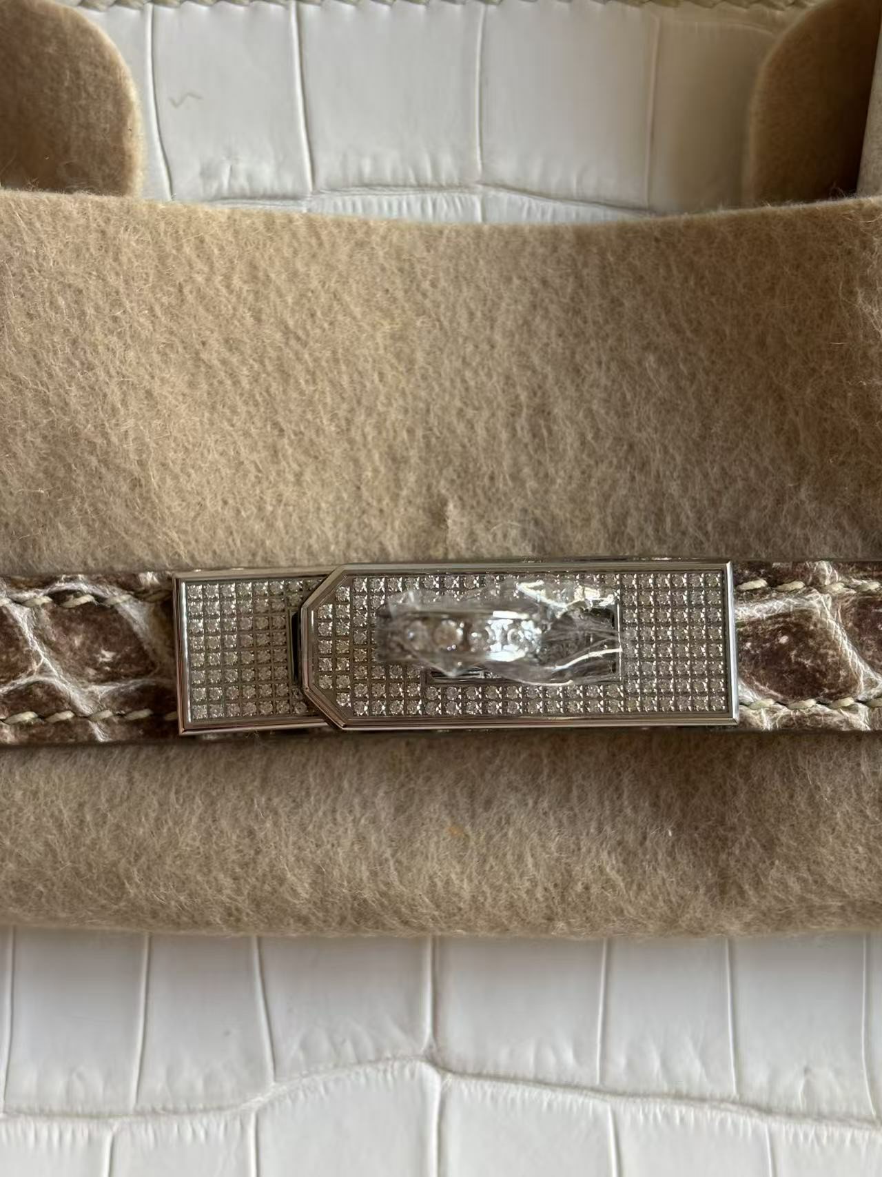 Macro view of a diamond Himalayan Birkin plaque with Moissanite settings