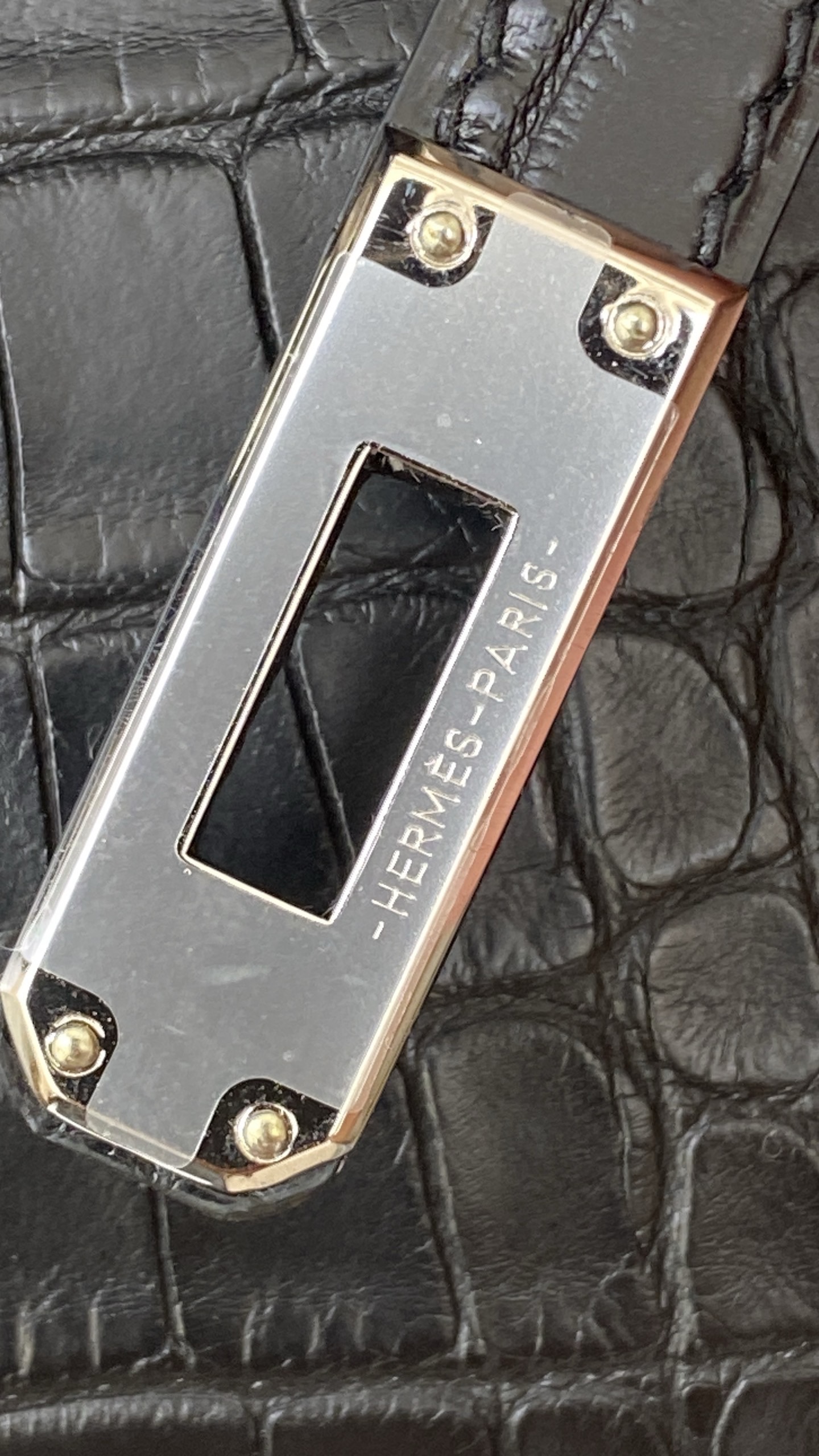 Detailed view of the palladium hardware on a matte alligator kelly pochette