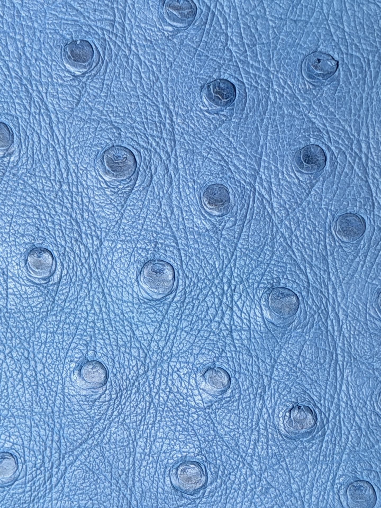 Detailed close-up of the premium ostrich leather texture on a kelly-pochette hermes in blue.