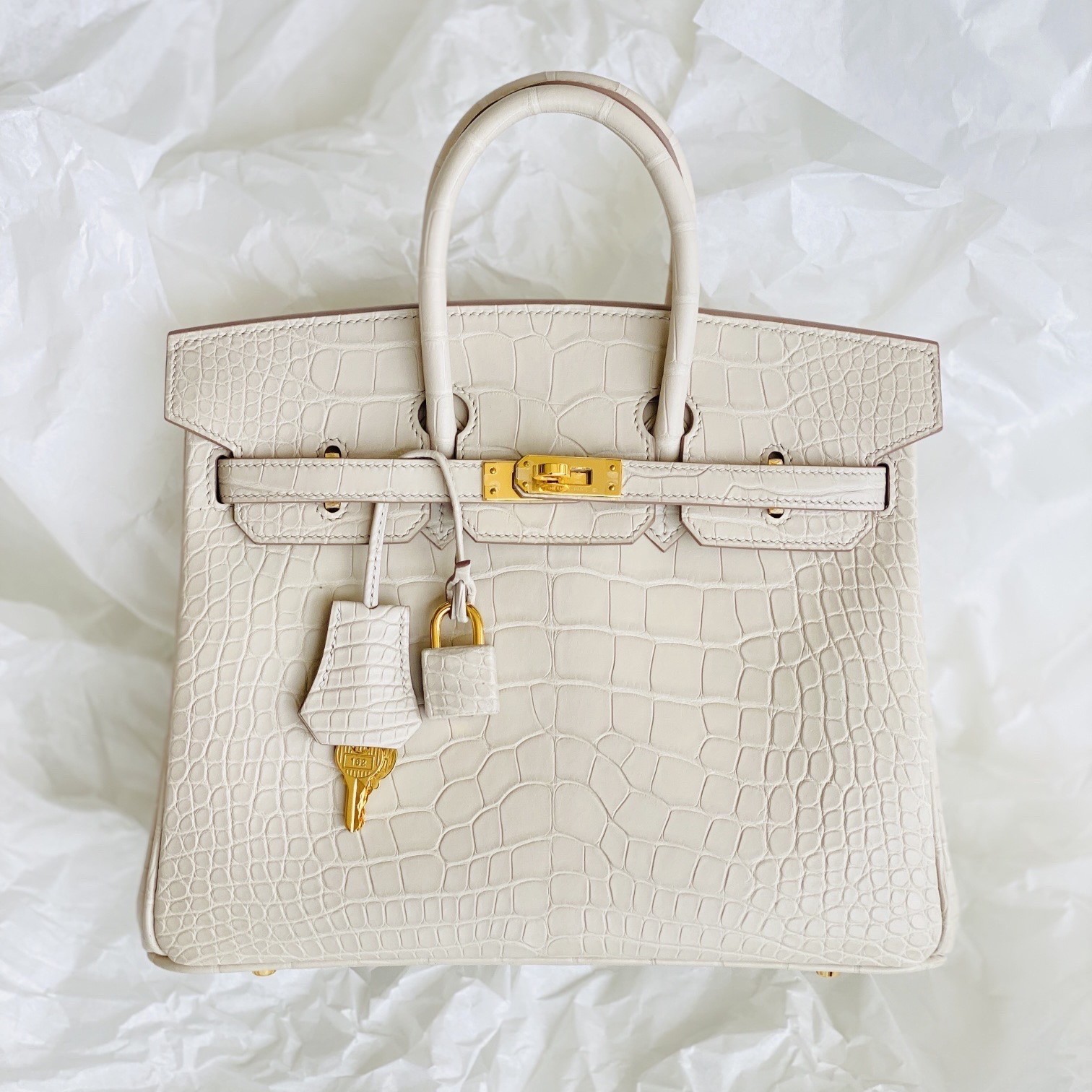 Direct front view of a Beton Alligator Birkin 25 with hand-stitched details and perfectly centered scales.