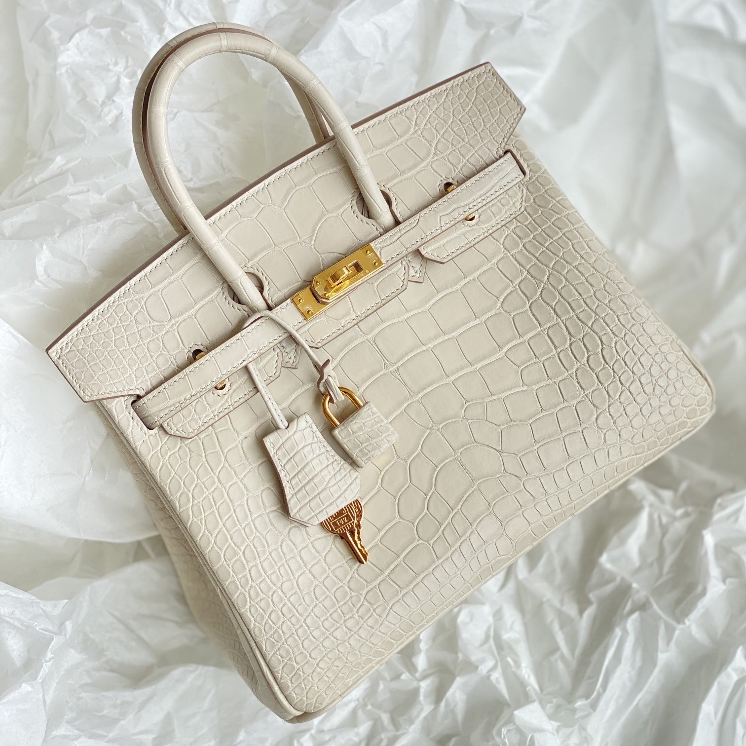 front view of a luxury alligator Birkin bag