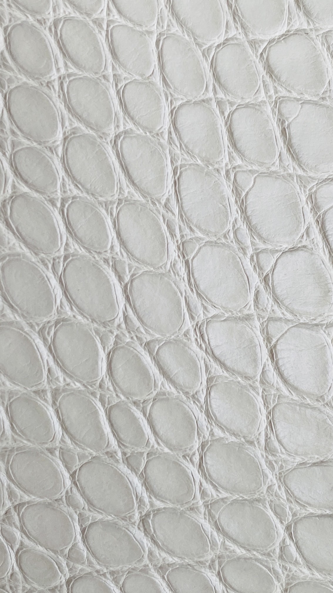 Detailed close-up of matte alligator Birkin bag scales with a soft velvety low-sheen glow.