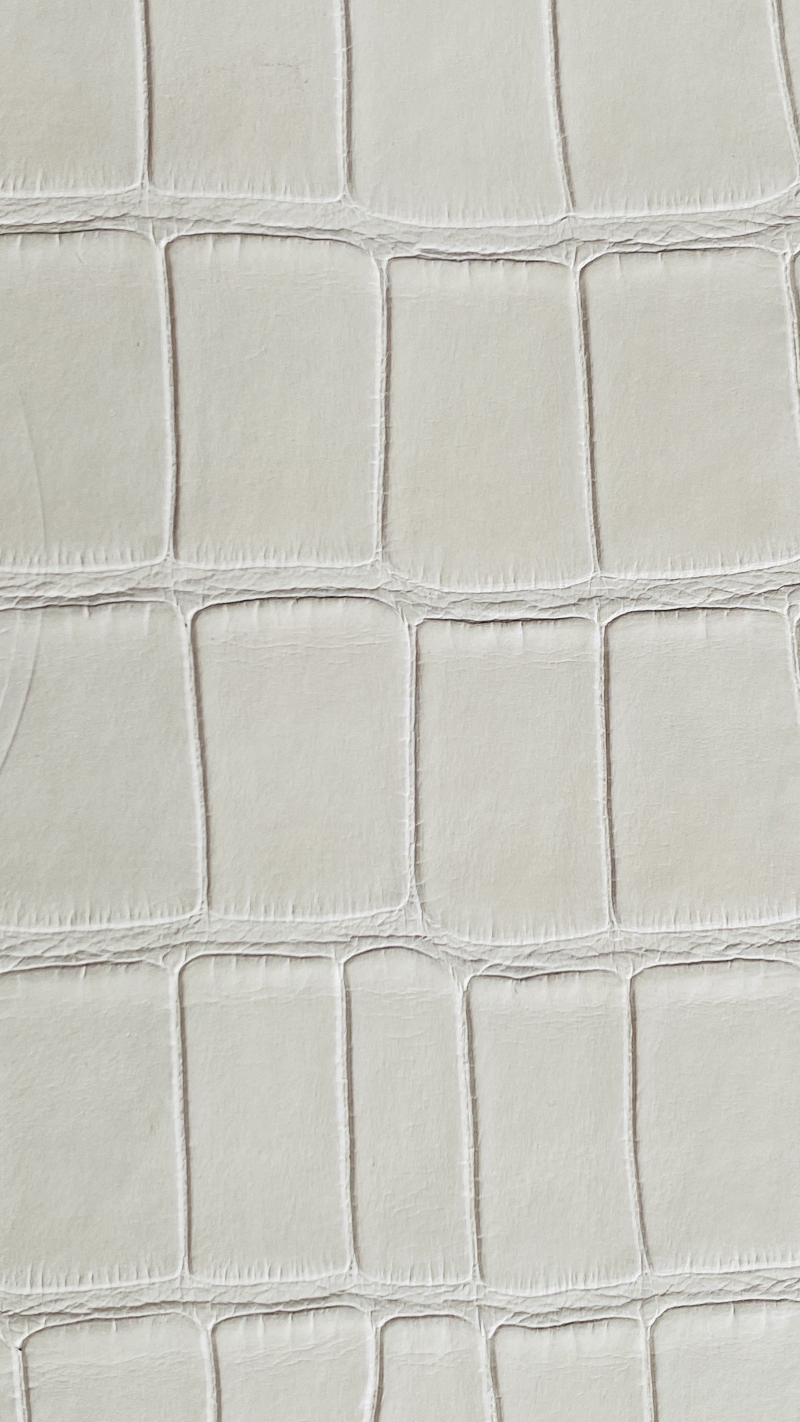 Close-up of the supple underbelly alligator skin used for a premium Birkin bag.