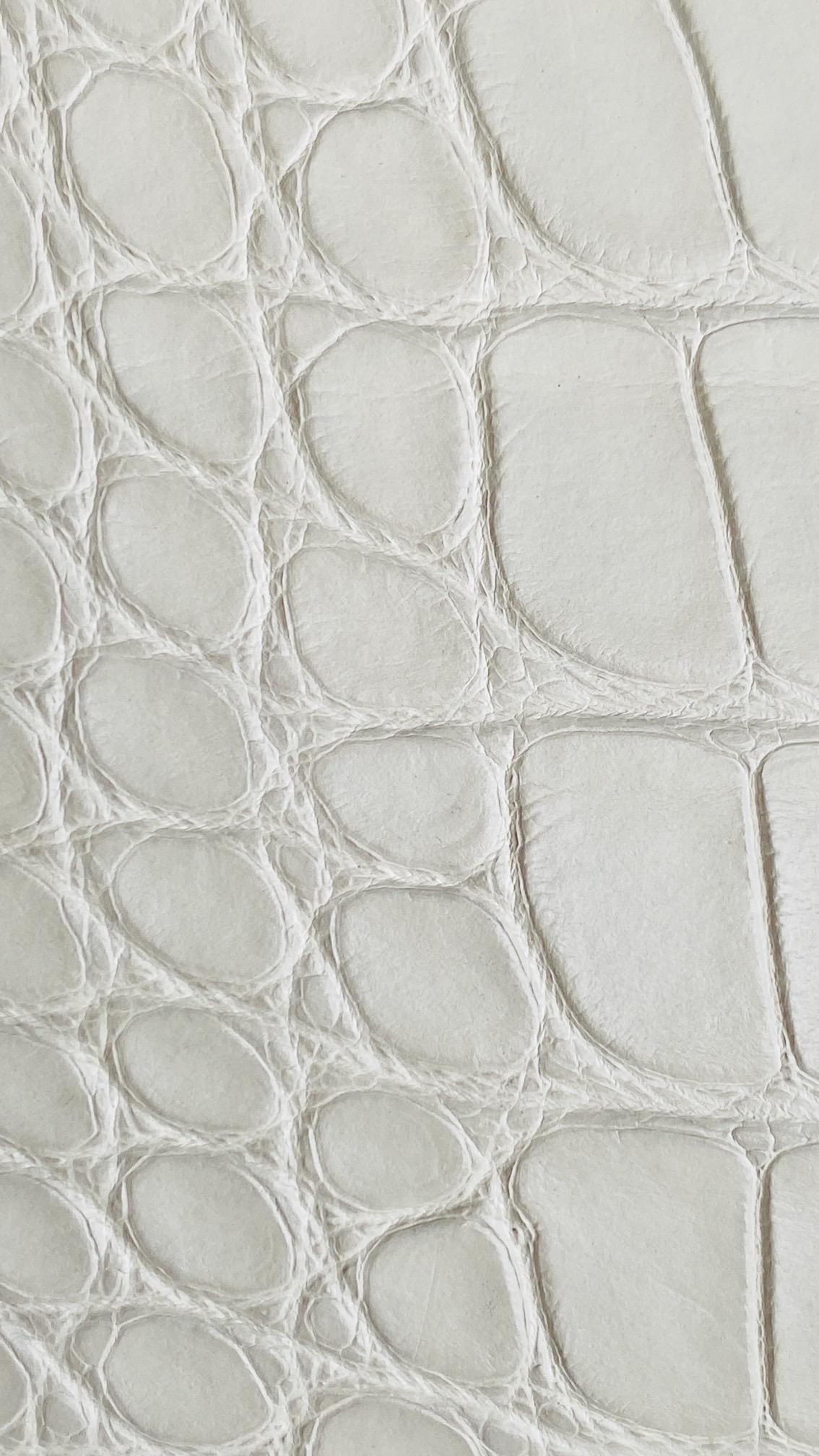 Macro shot of the Mississippiensis Alligator skin on a Birkin bag showing natural scale patterns.