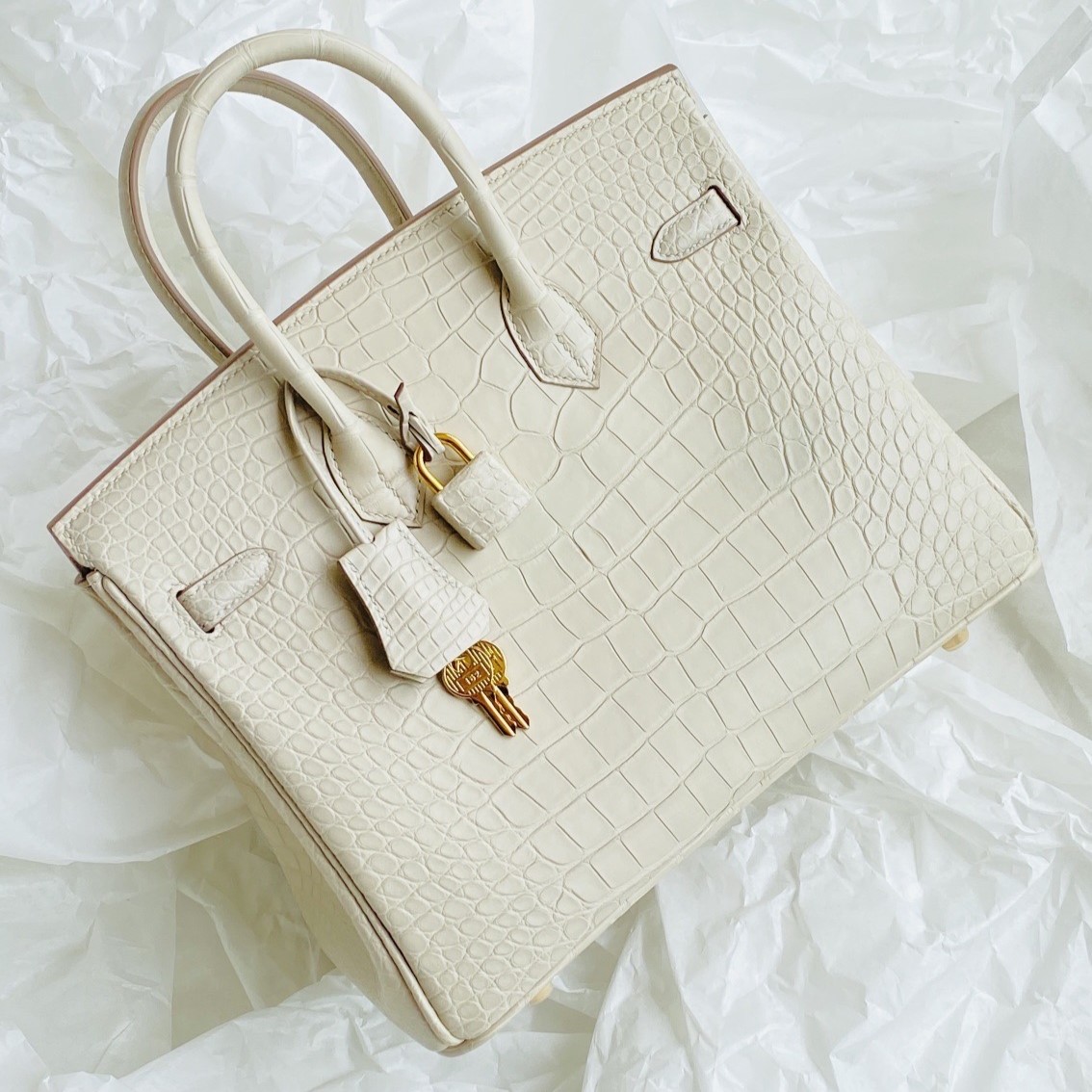 Rear angled view of an alligator Birkin bag