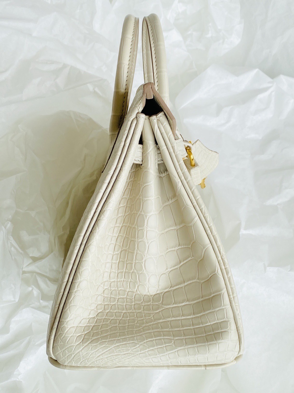 side profile of an alligator Birkin 25