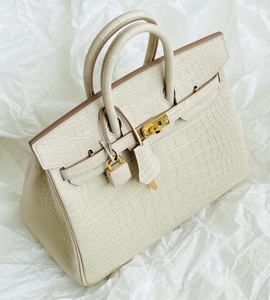 Side view of a custom Hermès Birkin Alligator bag in Beton 8L matte with gold hardware.