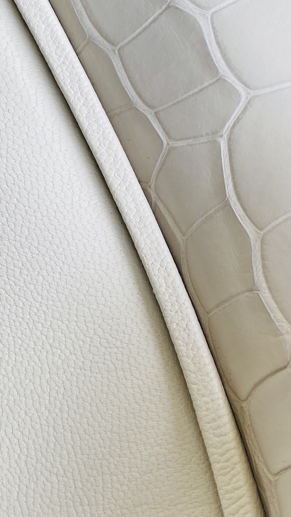 Macro shot on a matte alligator Birkin