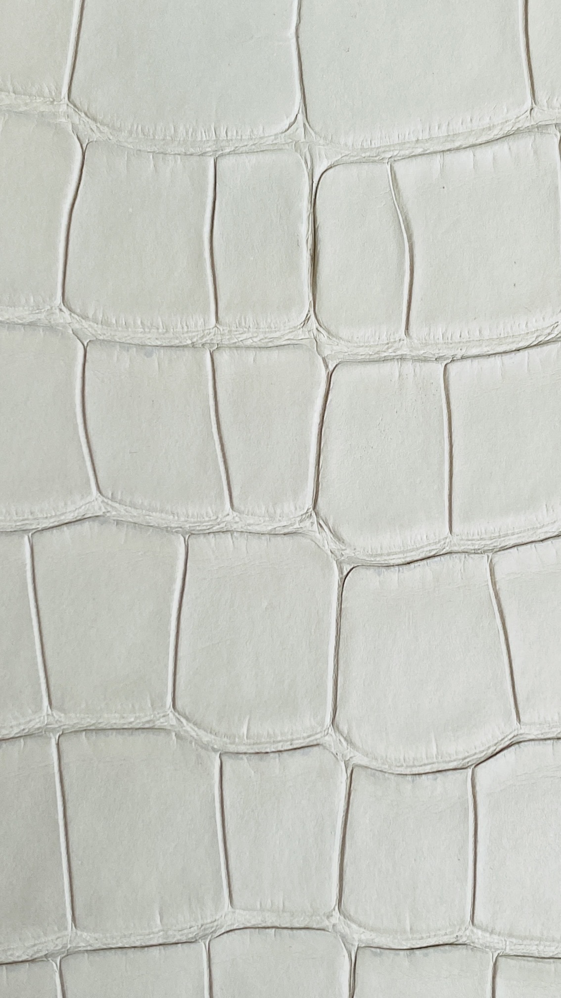 High-definition texture shot of Beton colored alligator skin for a custom Birkin commission.